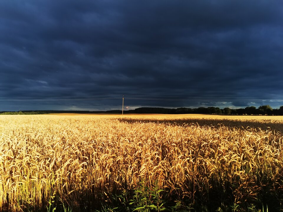 IMG_20220727_195943.jpg - Miniek234