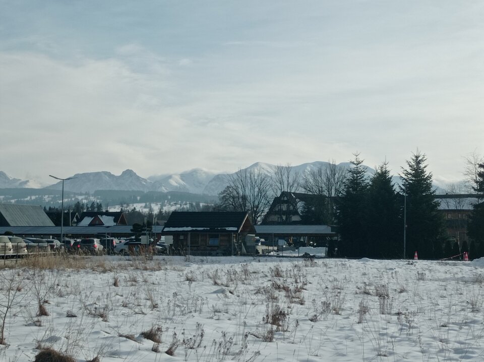 IMG_20250123_133615.jpg - puszysta_pani_krakow