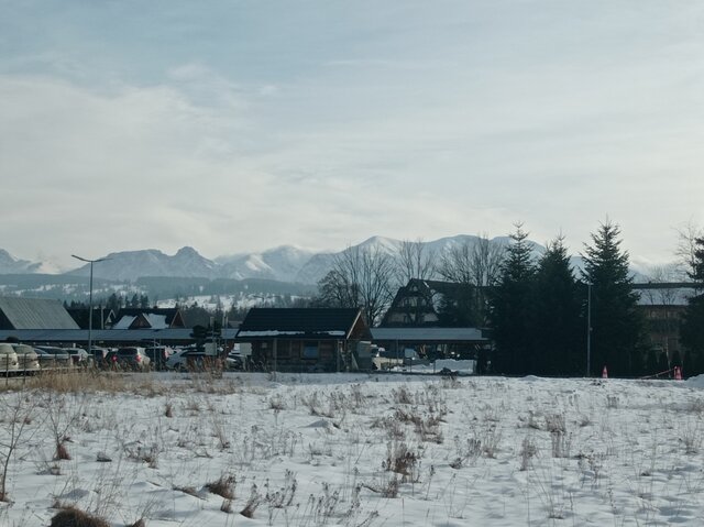 puszysta_pani_krakow