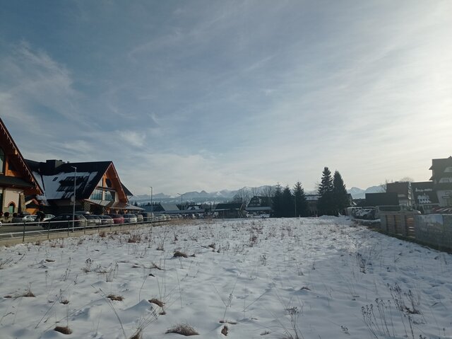 puszysta_pani_krakow