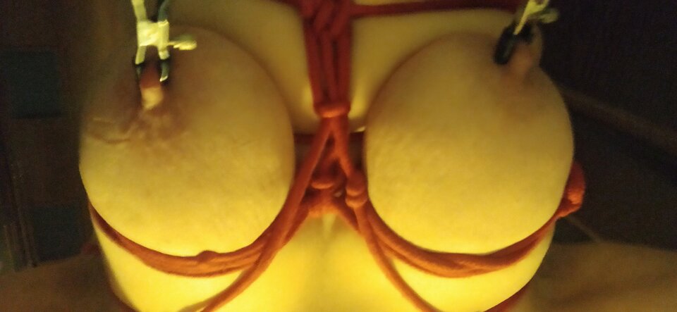 IMG_20230331_194827.jpg - miroxs