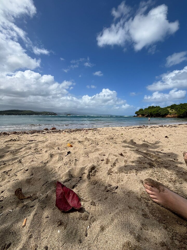 1000023473.jpg - KlSe