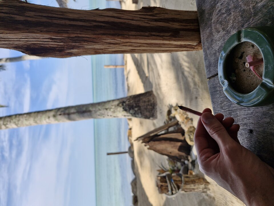 1000004401.jpg - Cambridge233