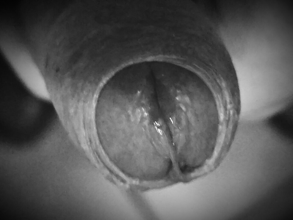 1000016420.jpg - Mis_i_mala_fajka