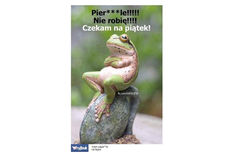 Pierdole.jpg - sks55