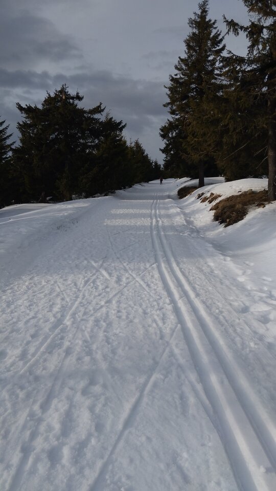 1000013342.jpg - Operator_odkurzacza