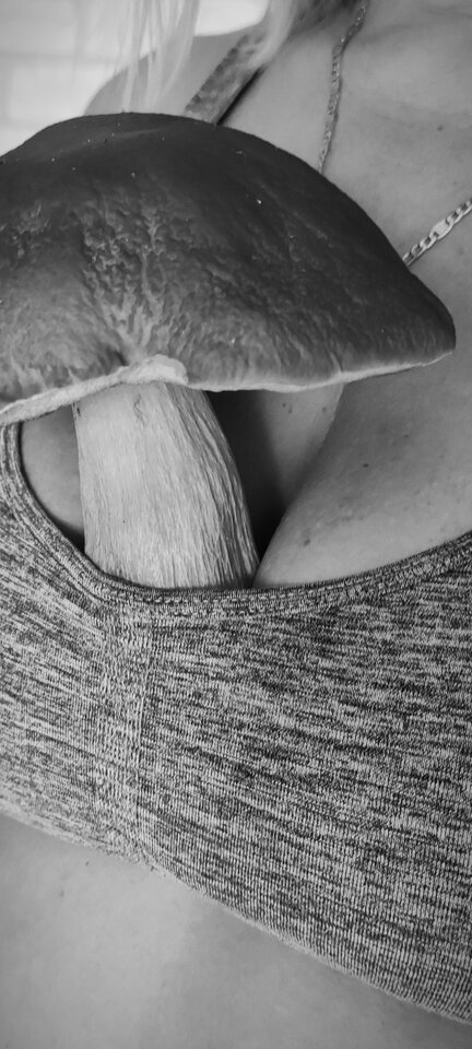 IMG_20241013_103348.jpg - Raj7677