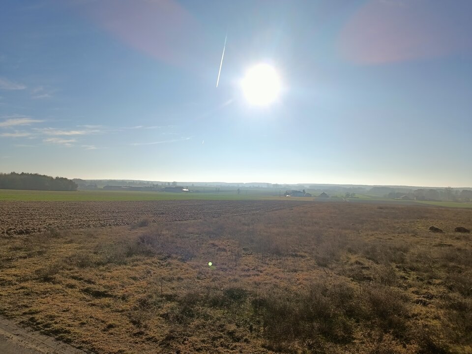 IMG20250118105217.jpg - hypns