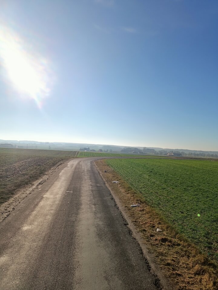 IMG20250118105059.jpg - hypns