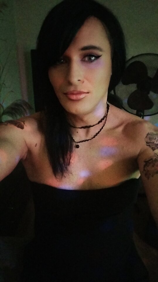 1000000229.jpg - TransKitty