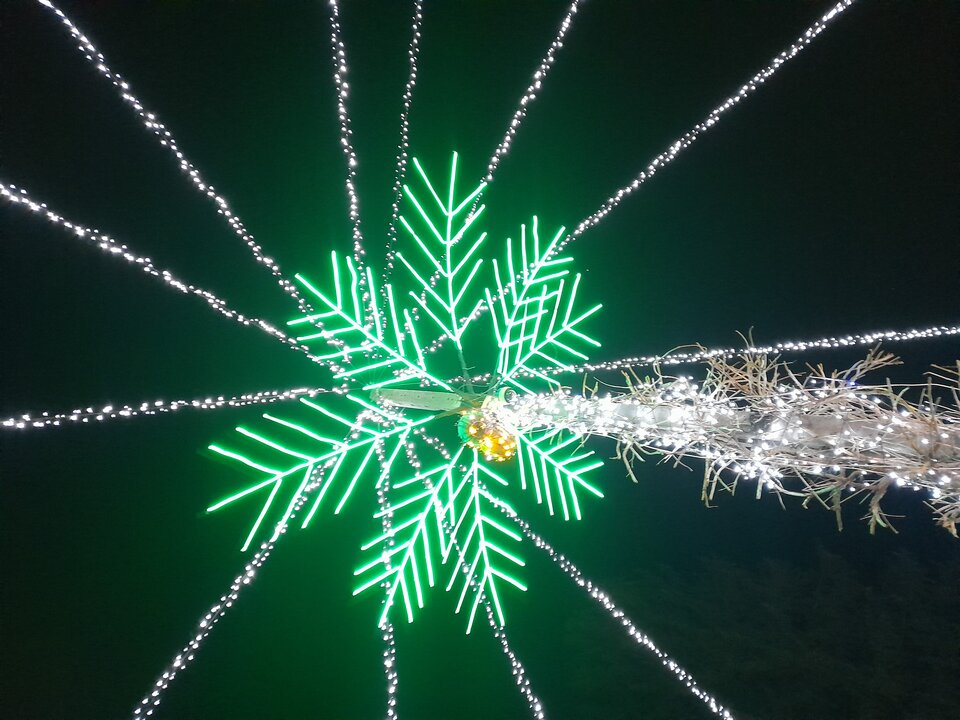 20241226_181956.jpg - Olalata