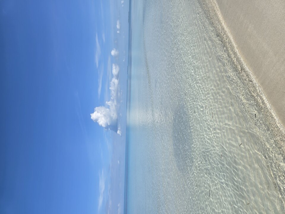 1000025863.jpg - RealnyTomekKrakow