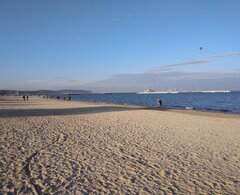 IMG_20250128_121612.jpg