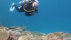 VideoCapture_20240828-082111.jpg