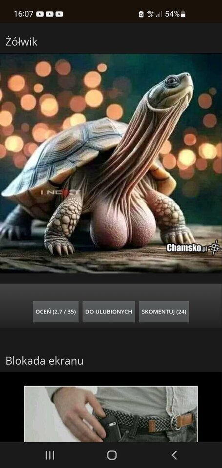 Screenshot_20250128_160743_Chrome.jpg - Mensacz123