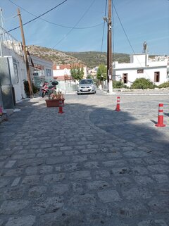 IMG_20241013_130228.jpg