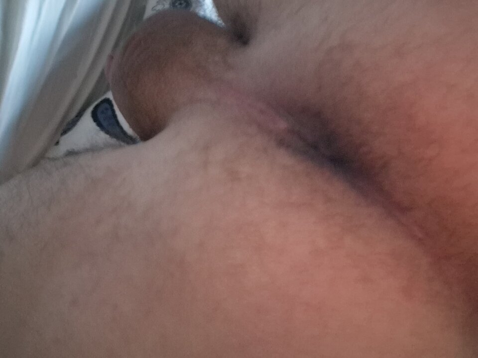 20250129_074330.jpg - mieciu