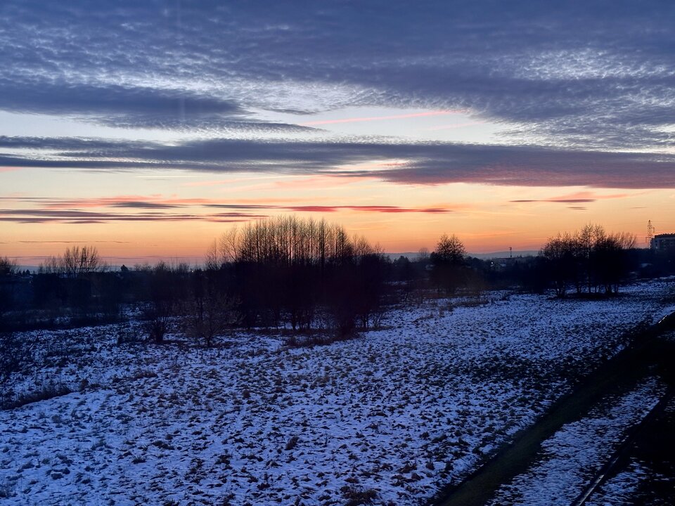 IMG_2346.jpeg - NewDesperado