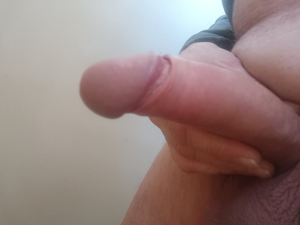 17381475774968431676374566649130.jpg - ardas1