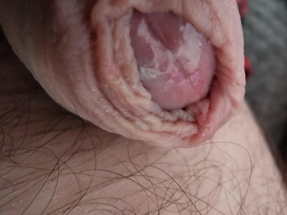 IMG_20250129_124730.jpg - Zi0001