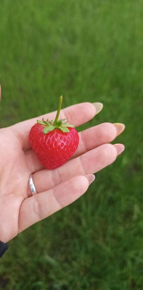 Messenger_creation_1165954674168960~2.jpeg - KAMILA199034