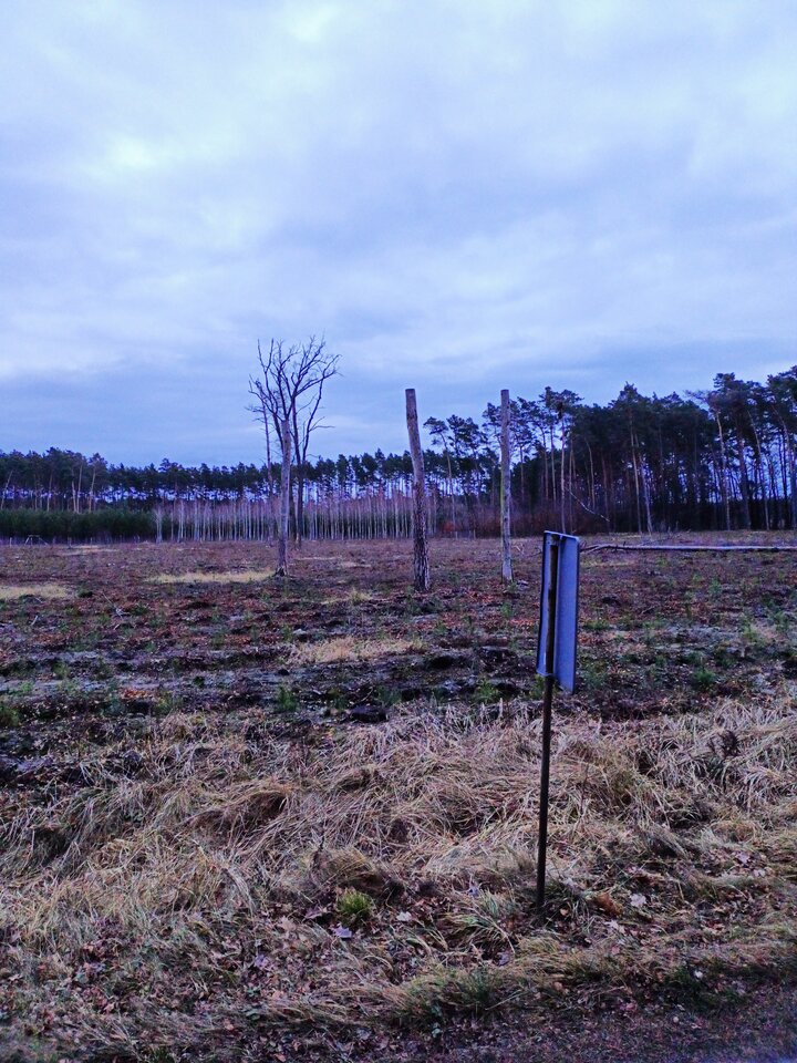 IMG20250129162946.jpg - hypns