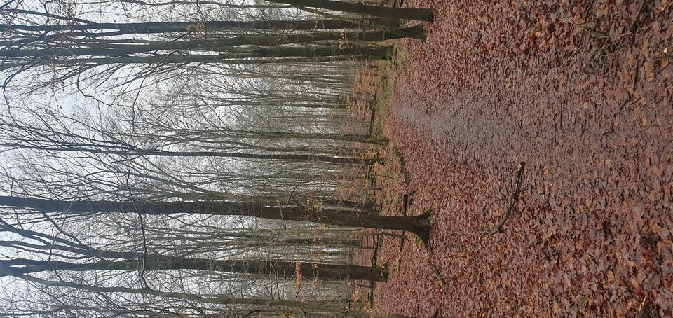 17382302460715407396885212500425.jpg - Pawelspqr189