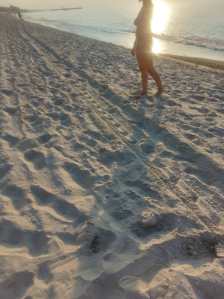 20240903_182240.jpg - Nowapara8079