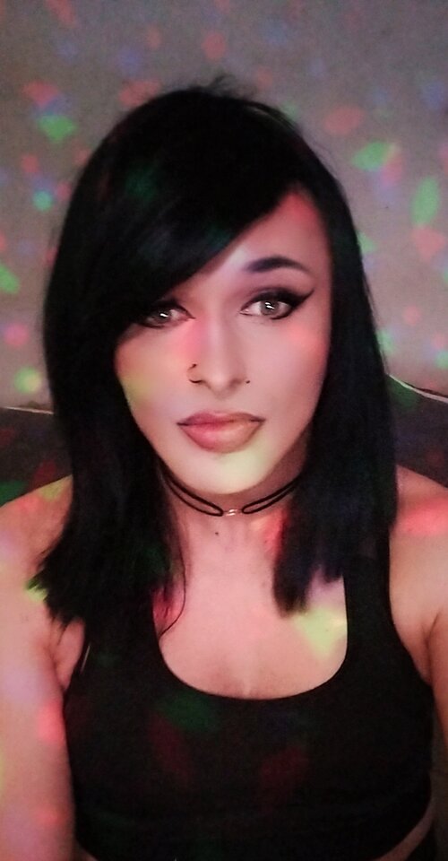 1000000551.jpg - TransKitty