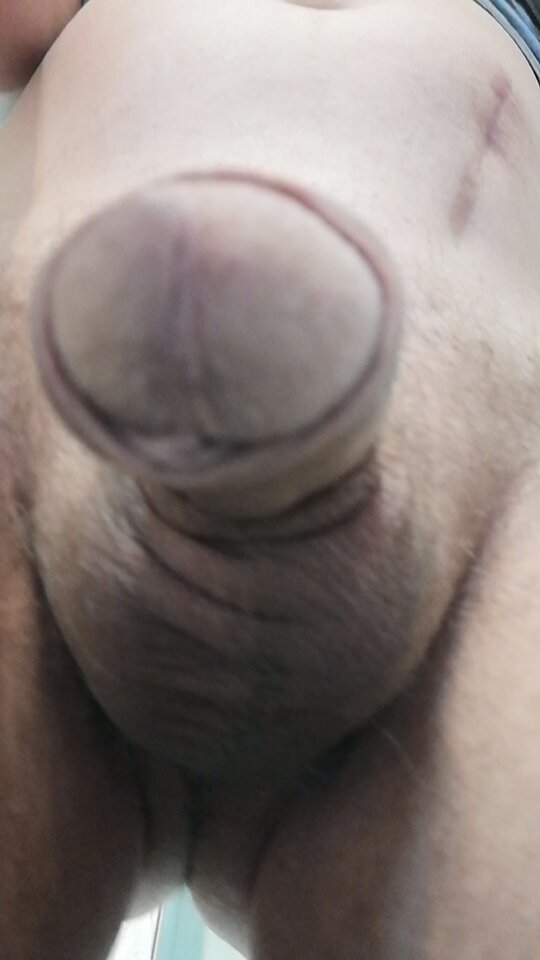 IMG_20250131_050708.jpg - koniobijca51