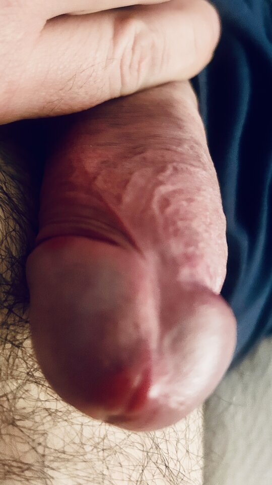 IMG_3438.jpeg - bondjames728