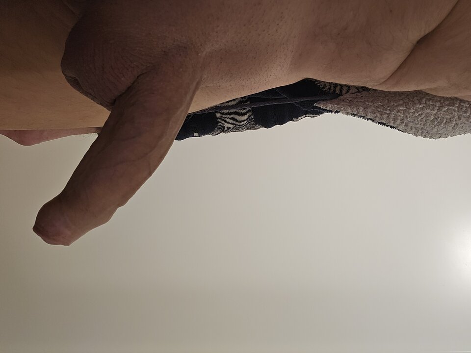 1000013807.jpg - Pansavage