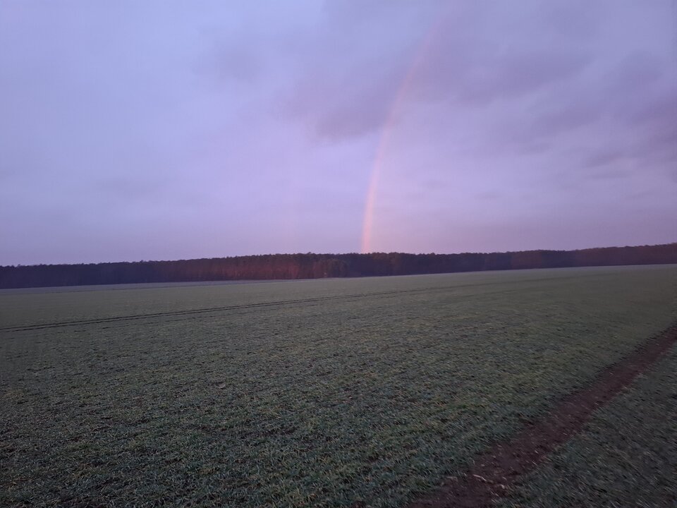 1000002010.jpg - Jozef1488