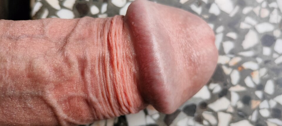 1000028528.jpg - szatan24