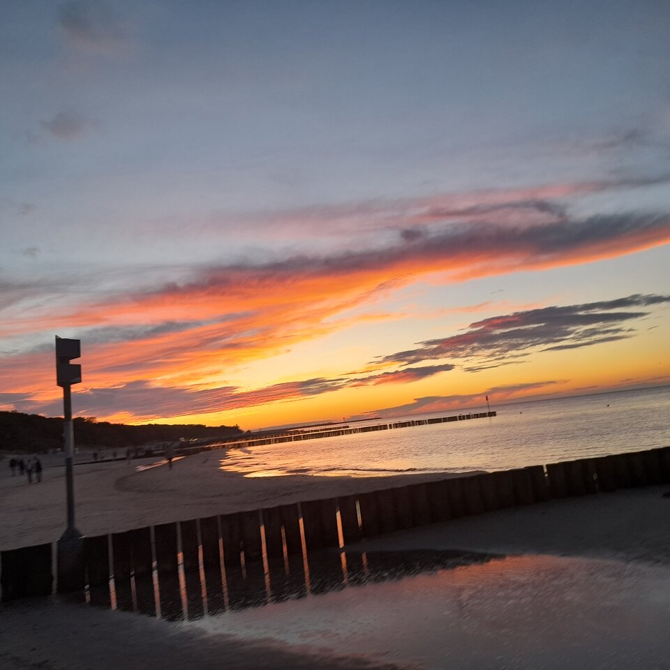 20240926_185852.jpg - Krzysztofwars6969