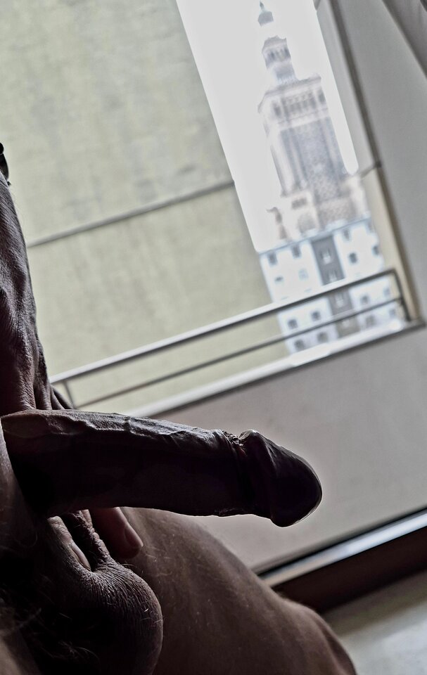 Pokój z widokiem...😎 - BlackjackBack