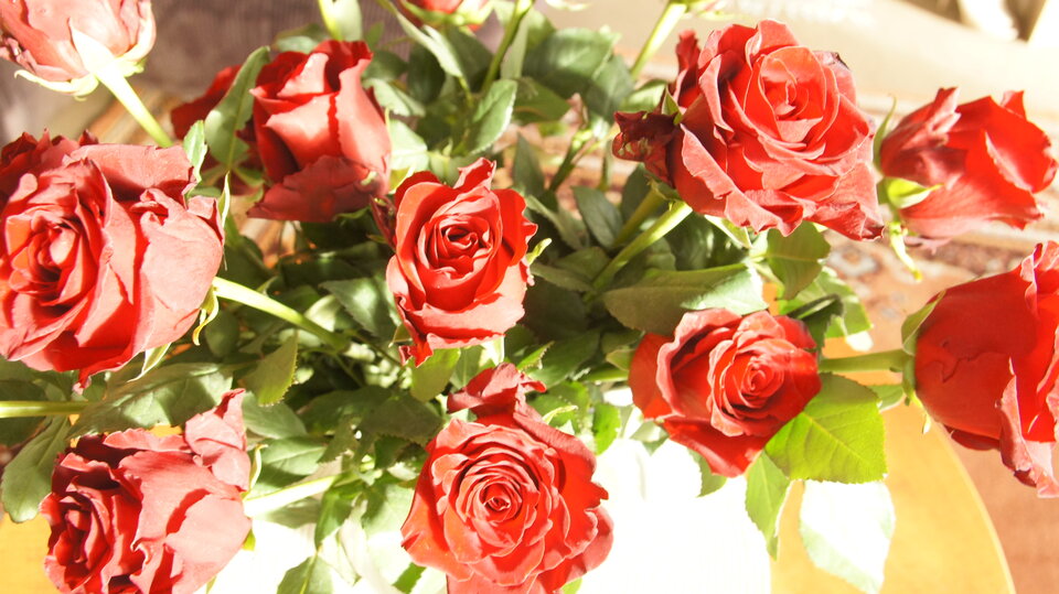 Sex w tysiącach płatków róż. - jacuzzi