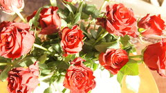 Sex w tysiącach płatków róż.