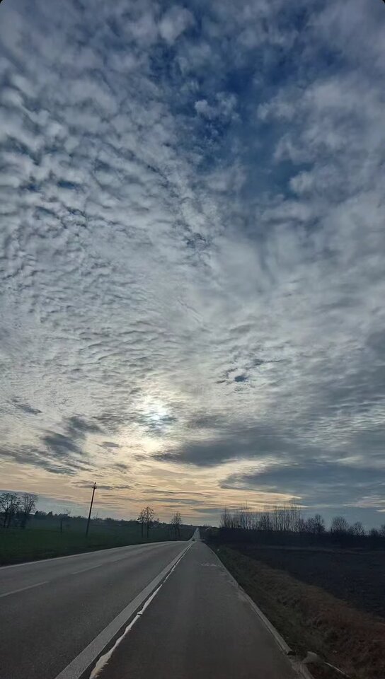 IMG_20250126_141619.jpg - Nicci