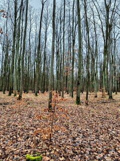 Już nie mogę się doczekać plenerowych przygód 😊🌳