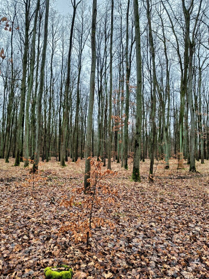 Już nie mogę się doczekać plenerowych przygód 😊🌳 - Piti969