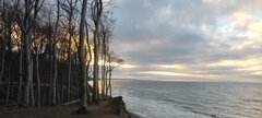 IMG_20250201_155809.jpg