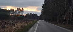 IMG_20250201_164052.jpg