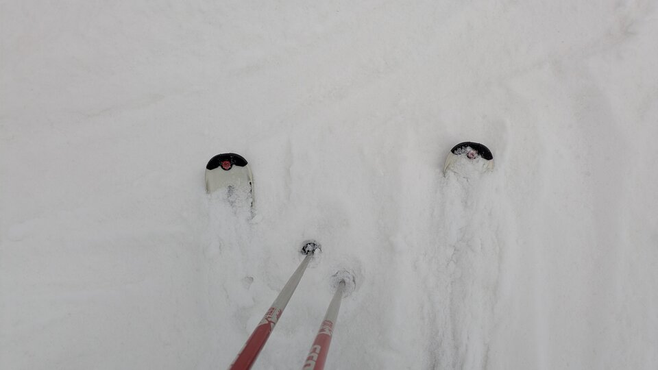 1000002271.jpg - Poligamistka