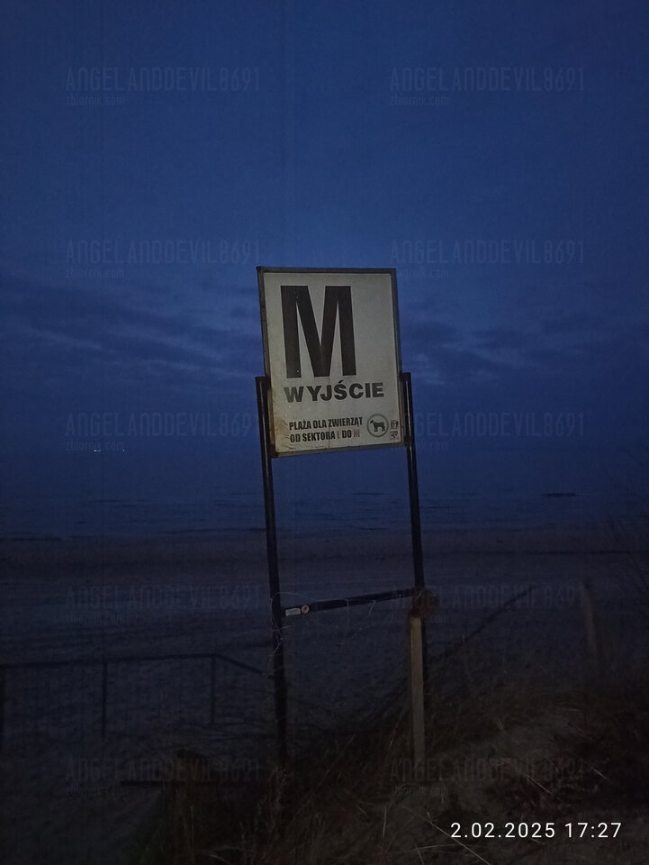 IMG_20250202_172732.jpg - AngelandDevil8691