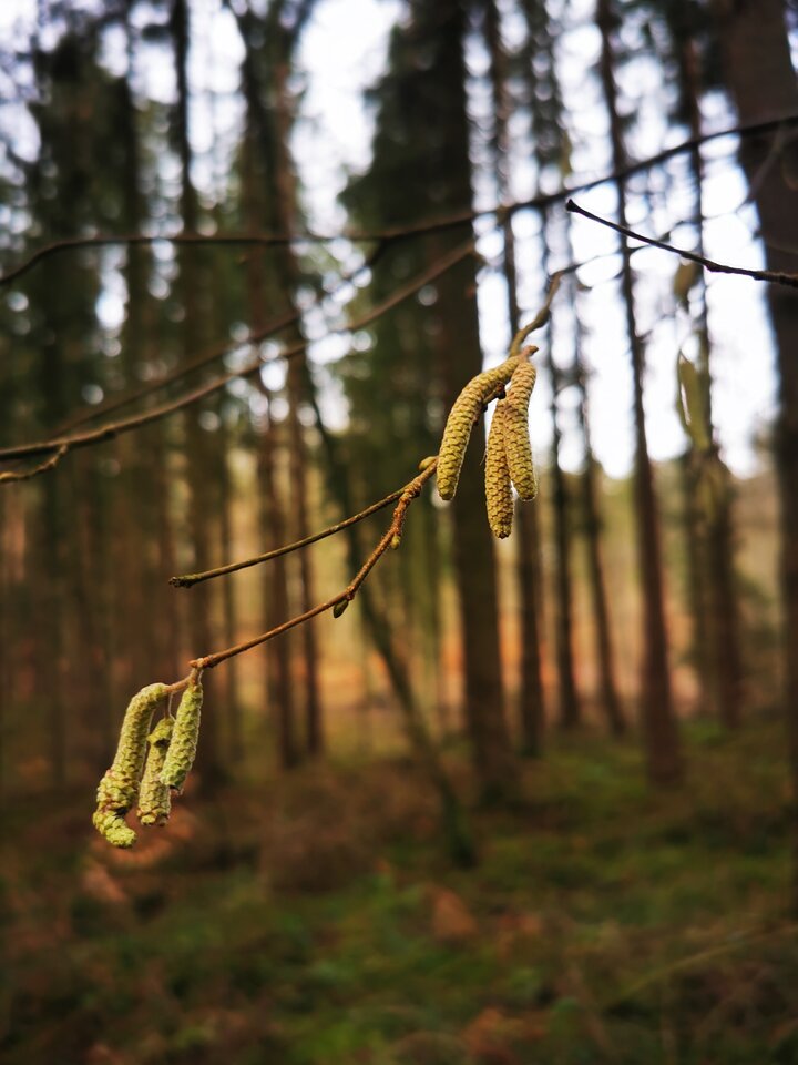 IMG_20250202_130325.jpg - Miniek234