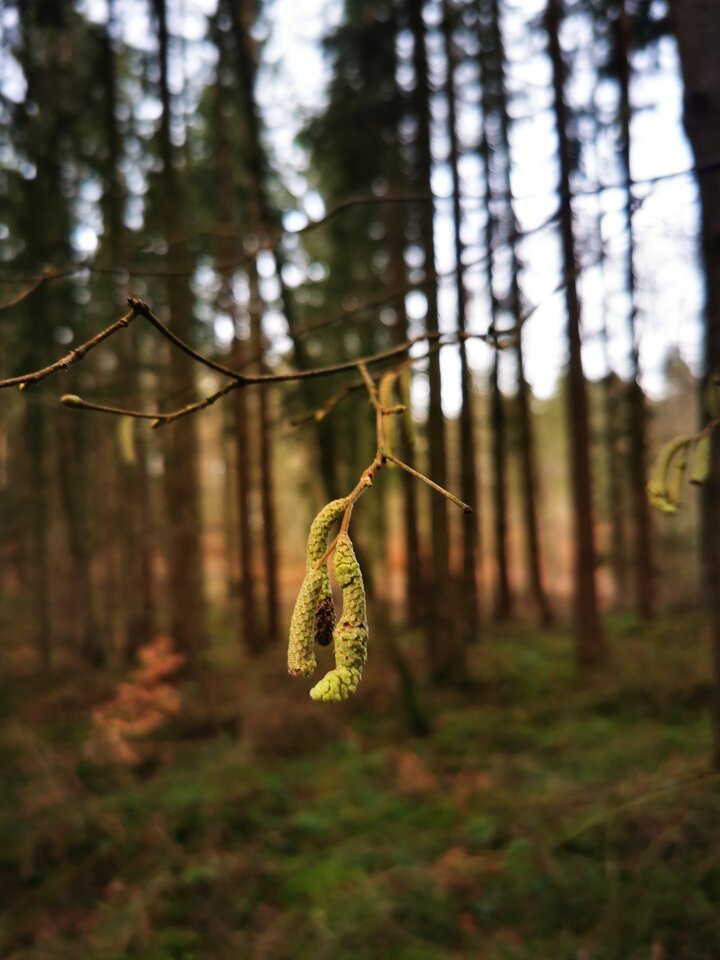 IMG_20250202_130320.jpg - Miniek234