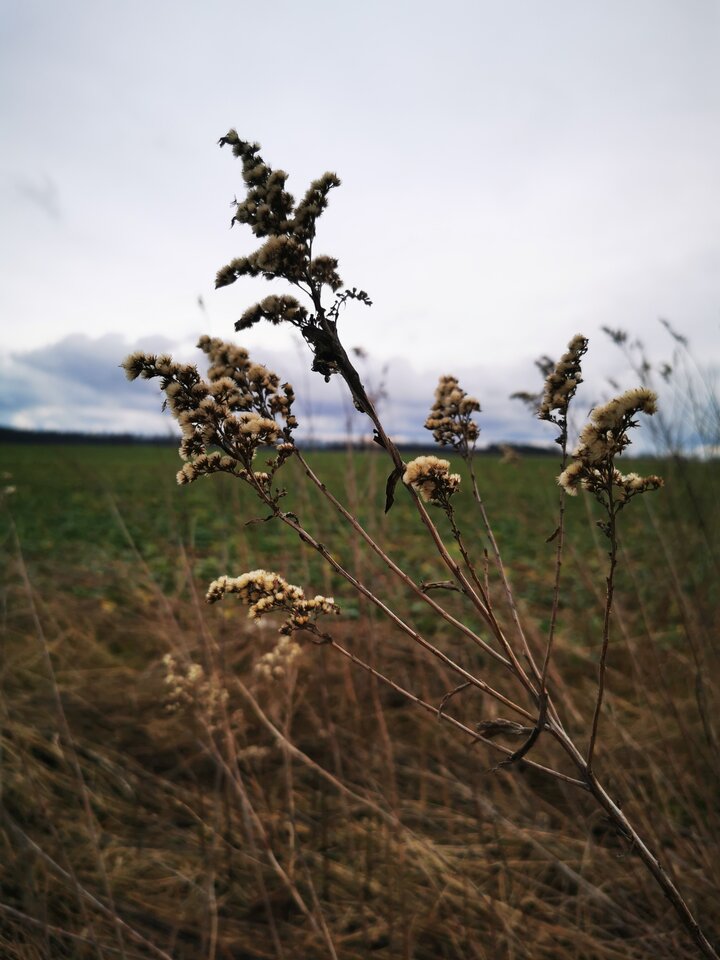 IMG_20250202_134203.jpg - Miniek234