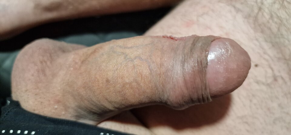 17385547598325065722211924214295.jpg - robin266