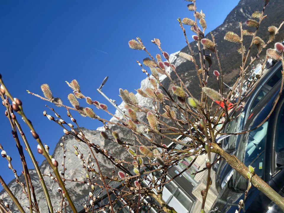 IMG_1444.jpeg - May_Day